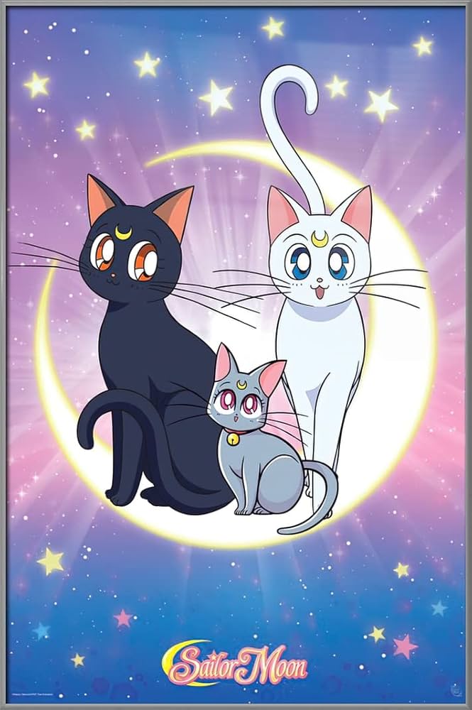 Amazon.co.jp: 美少女戦士セーラームーン - フレーム付きマンガ/アニメ