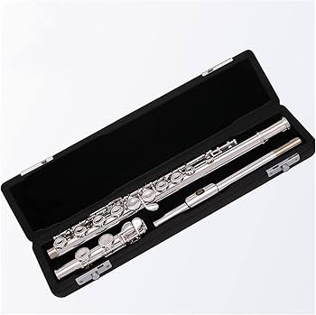 Amazon.co.jp: 銀メッキ 吹奏楽部 フルート C調 16鍵 開閉穴 ケース