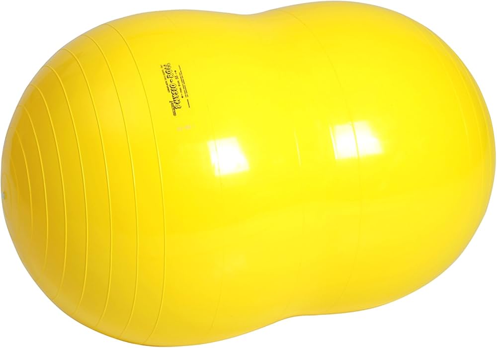 Amazon | ギムニク(GYMNIC) フィジオロール 55 黄 LP8802 イタリア製