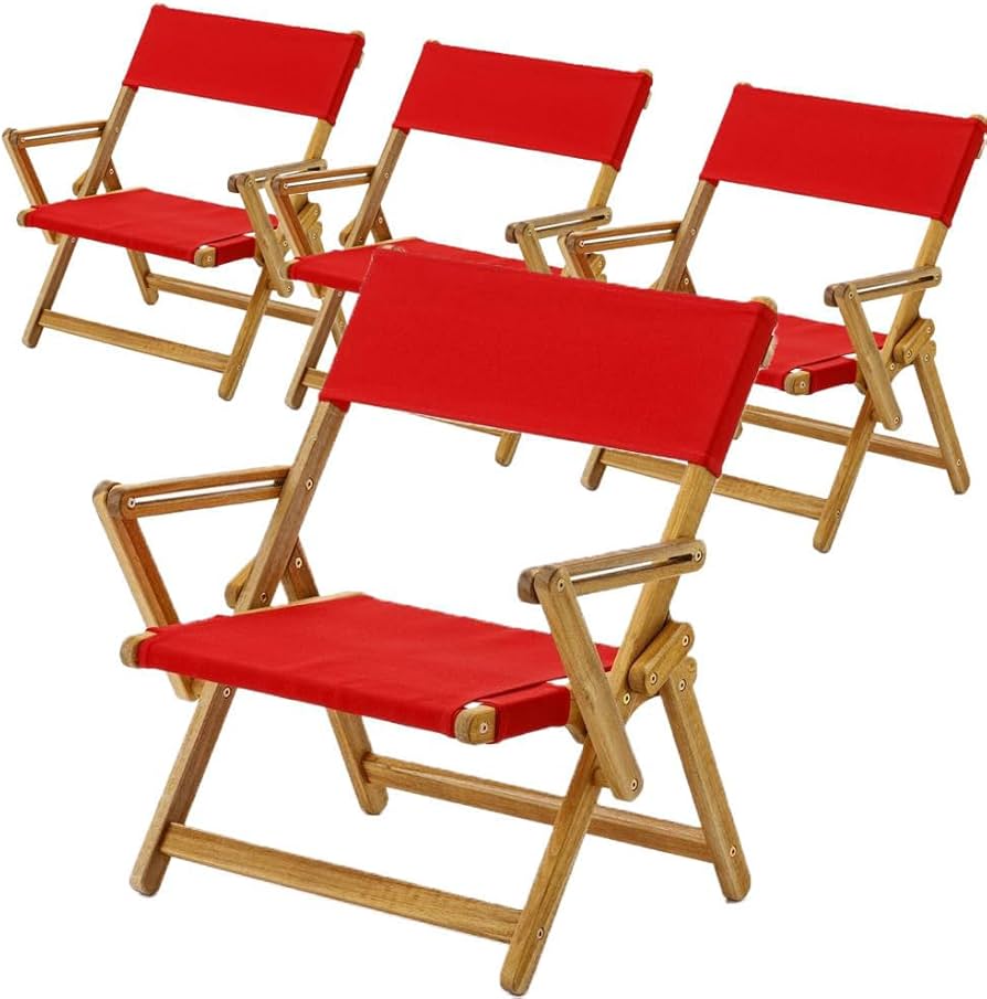 Amazon｜カインズ(CAINZ) アカシア 折り畳みファブリックチェア 4個