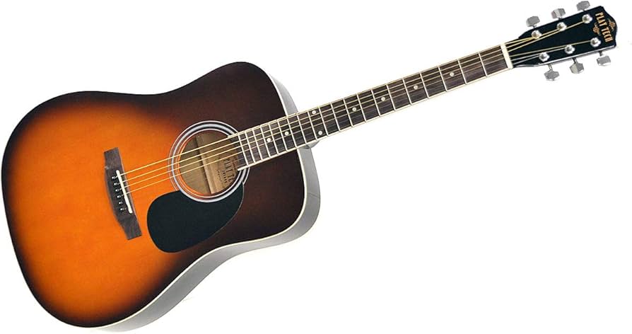 Amazon | PLAYTECH (プレイテック) アコースティックギター（アコギ