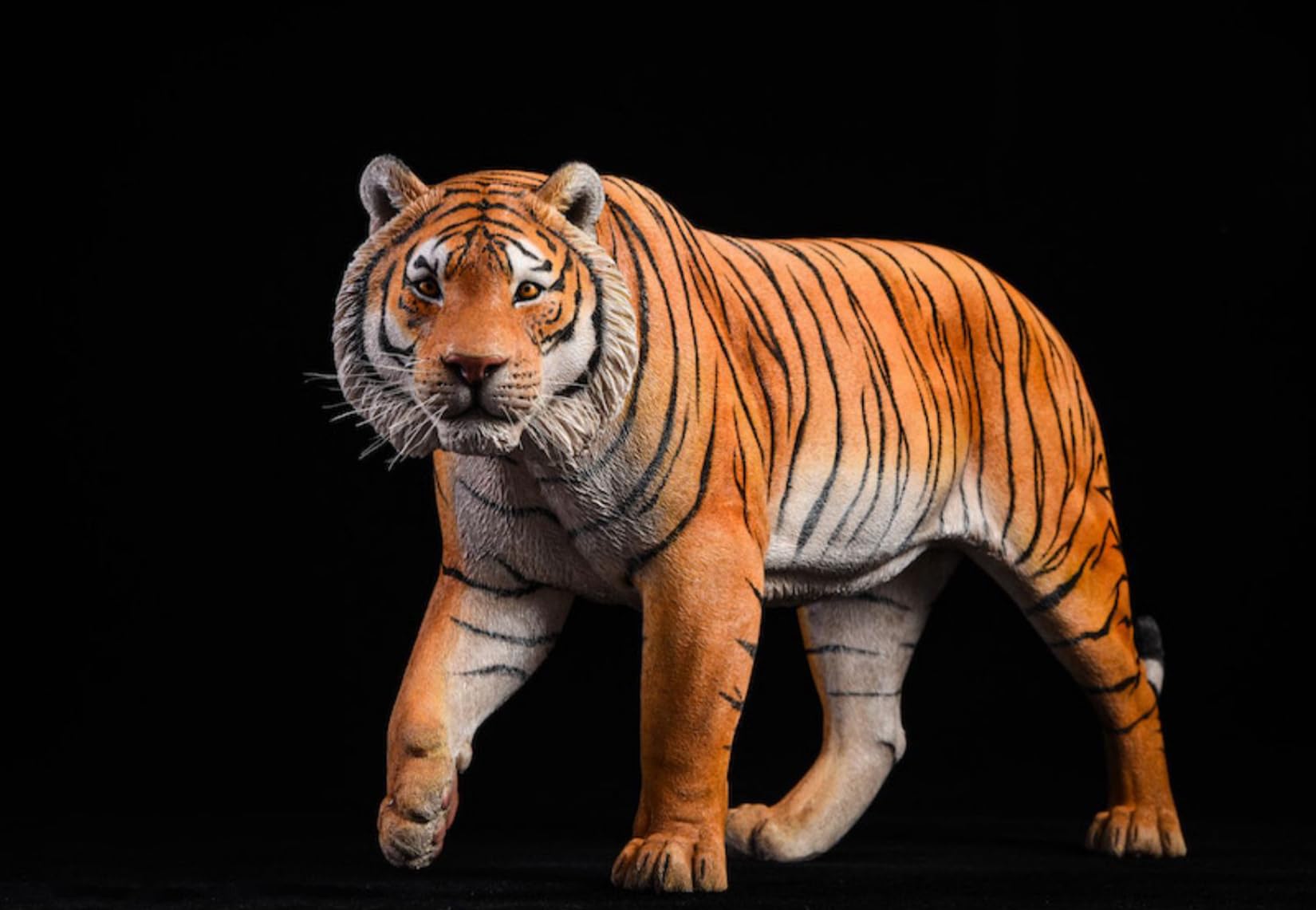 Amazon.co.jp: 1/6 サイズ ベンガルトラ 虎 リアル 大きい 野生動物