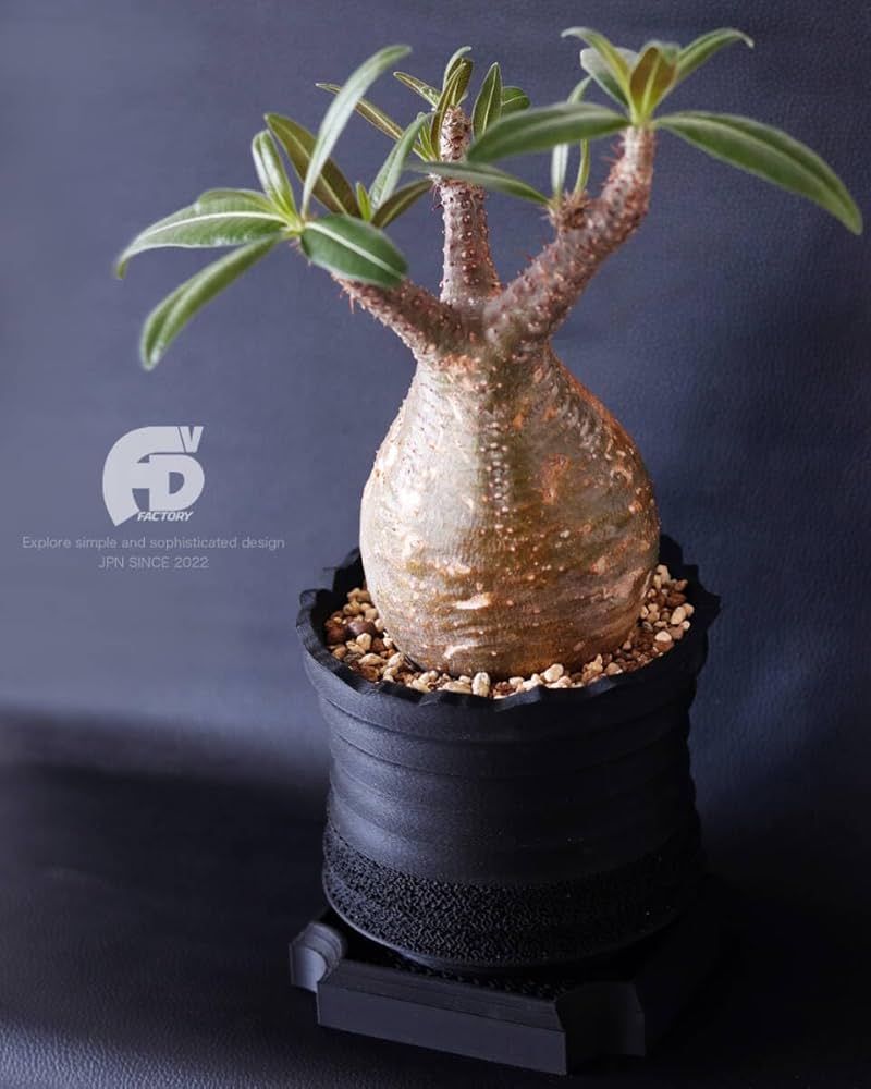 Amazon.co.jp: Adv-037 M (130×110) Ripple Pot 植木鉢 おしゃれ