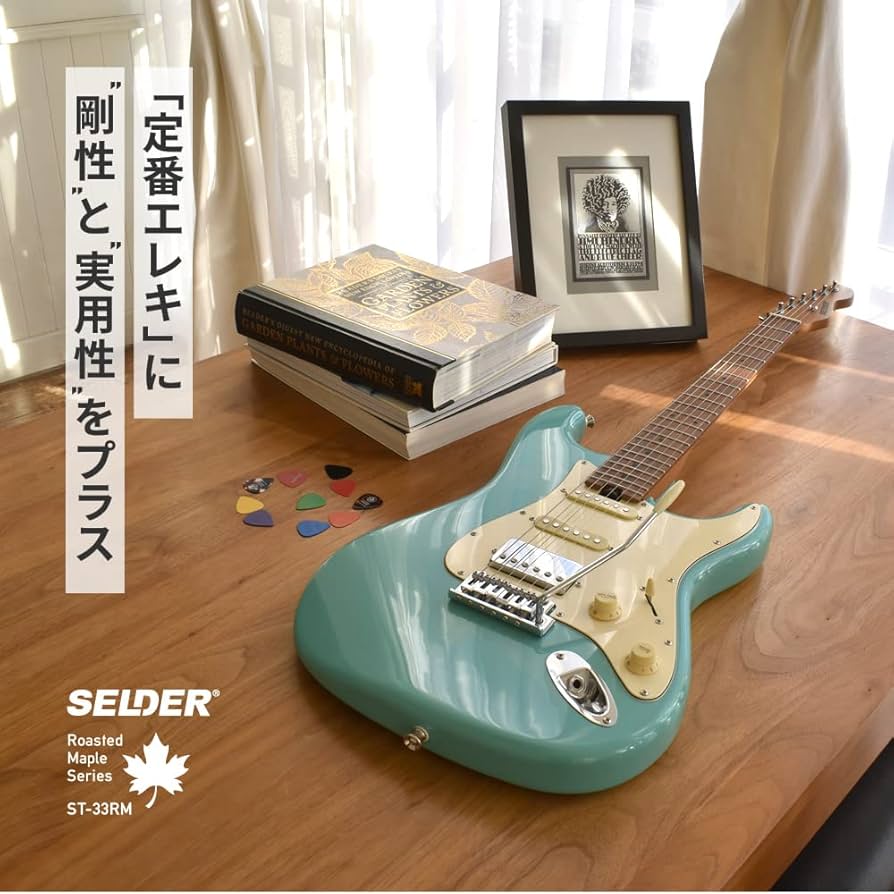 Amazon | SELDER セルダー エレキギター ストラトキャスタータイプ ST