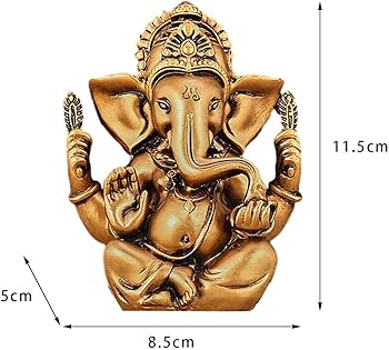 61fkhOtO0sL._AC_UF350,