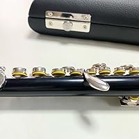 Amazon | 【Hilax】 初級者 入門 用 ピッコロ (① シルバー本体