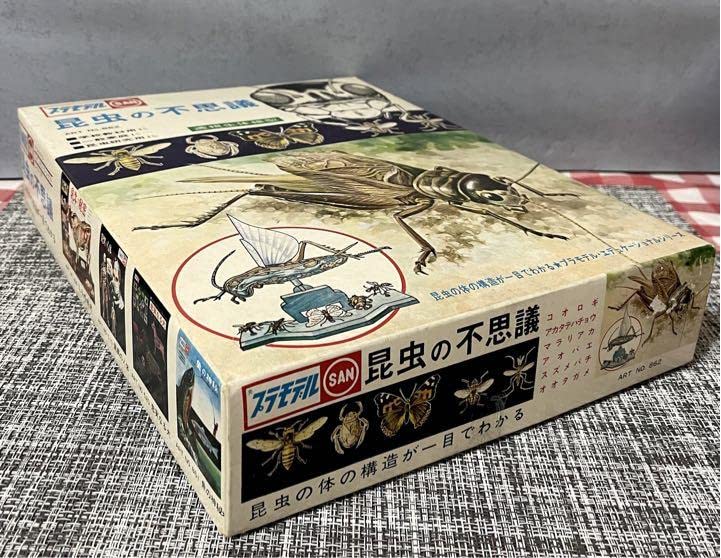 Amazon.co.jp: マルサン プラモデル エディケーショナルシリーズ 昆虫