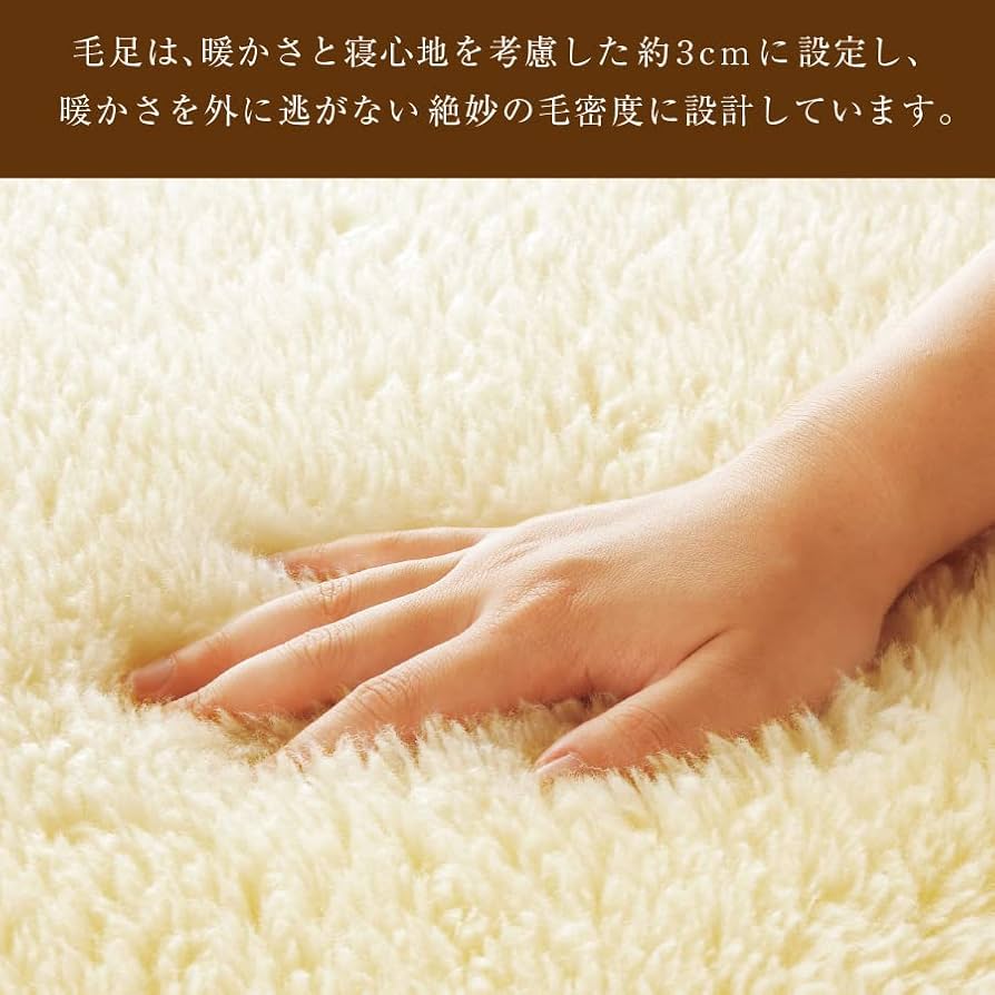 Amazon.co.jp: The PREMIUM Sofwool 敷き毛布 SD(セミダブル) : ホーム