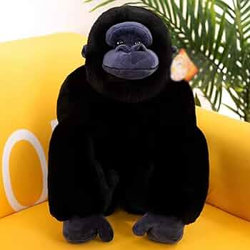 61gnXPWSOUL._AC_UF350,