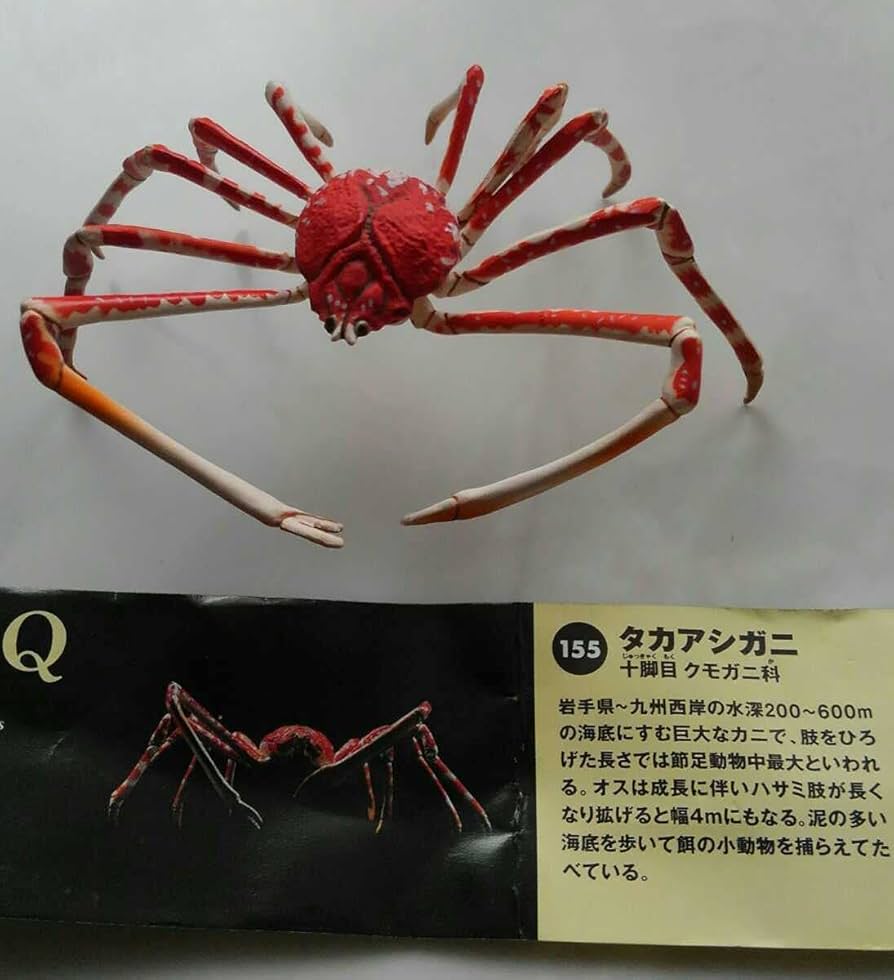 Amazon.co.jp: 海洋堂 チョコQ アニマテイルズ6 タカアシガニ 日本の