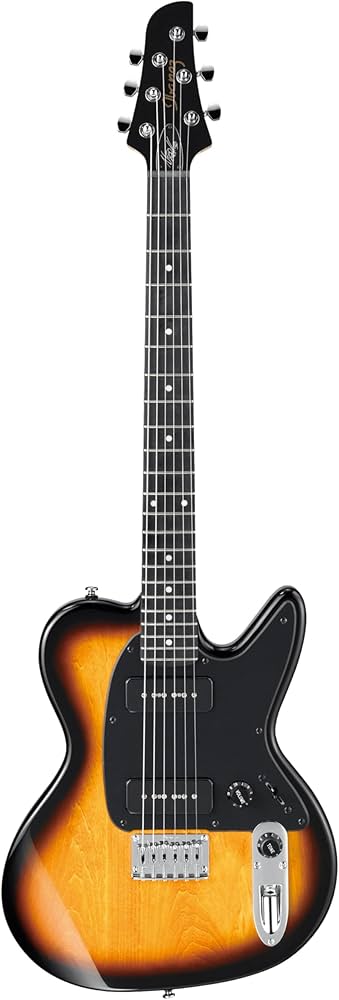 Amazon.com: Ibanez Noodles Signature 6 String Electric Guitar