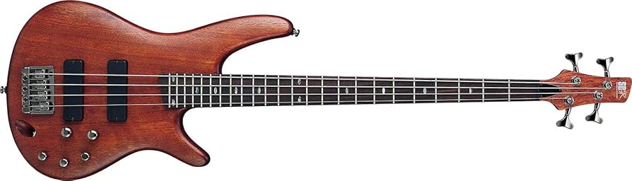 Amazon | Ibanez アイバニーズ SR500 (BM) エレキベース | エレキ