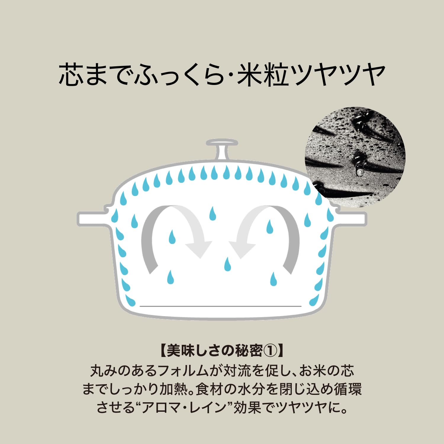 Amazon｜staub ストウブ 「 ラ ココット de GOHAN ブルーベリー L 20cm