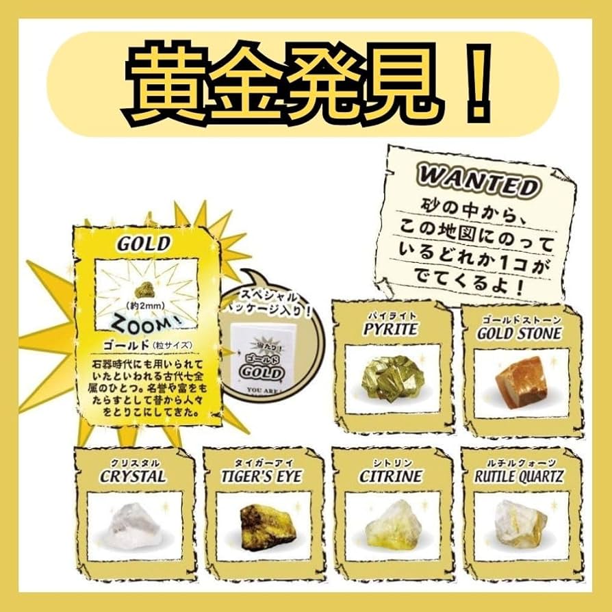 Amazon.co.jp: 【全種セット】ノルコーポレーション 宝物発見シリーズ