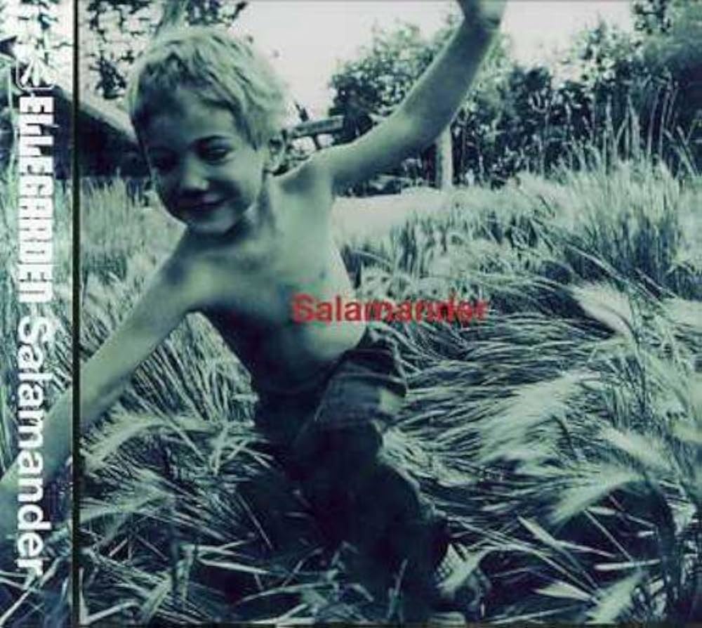 Amazon.co.jp: Salamander: ミュージック