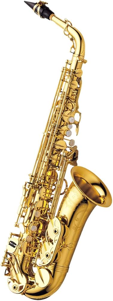 Amazon.co.jp: Yanagisawa / A-WO10 ヤナギサワ アルトサックス