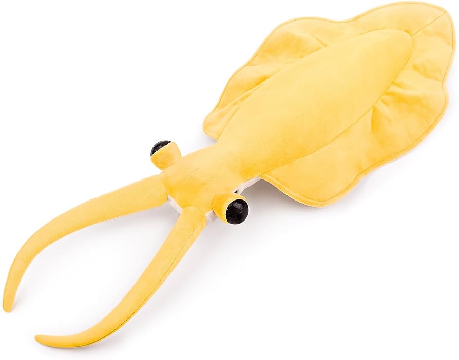 Amazon.co.jp: ZHONGXIN MADE リアルなカンブリア紀の古代生物