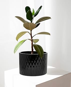 Amazon.com : LaDoVita Ceramic Plant Pot with Stand, 10 Inch