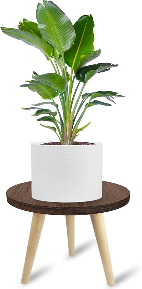 Amazon.com: Tuohours 10IN Tall Plant Stand Holder for Indoor