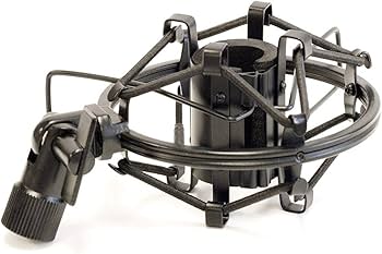 Amazon.com: MXL 603 Condenser Instrument Microphones with Shock