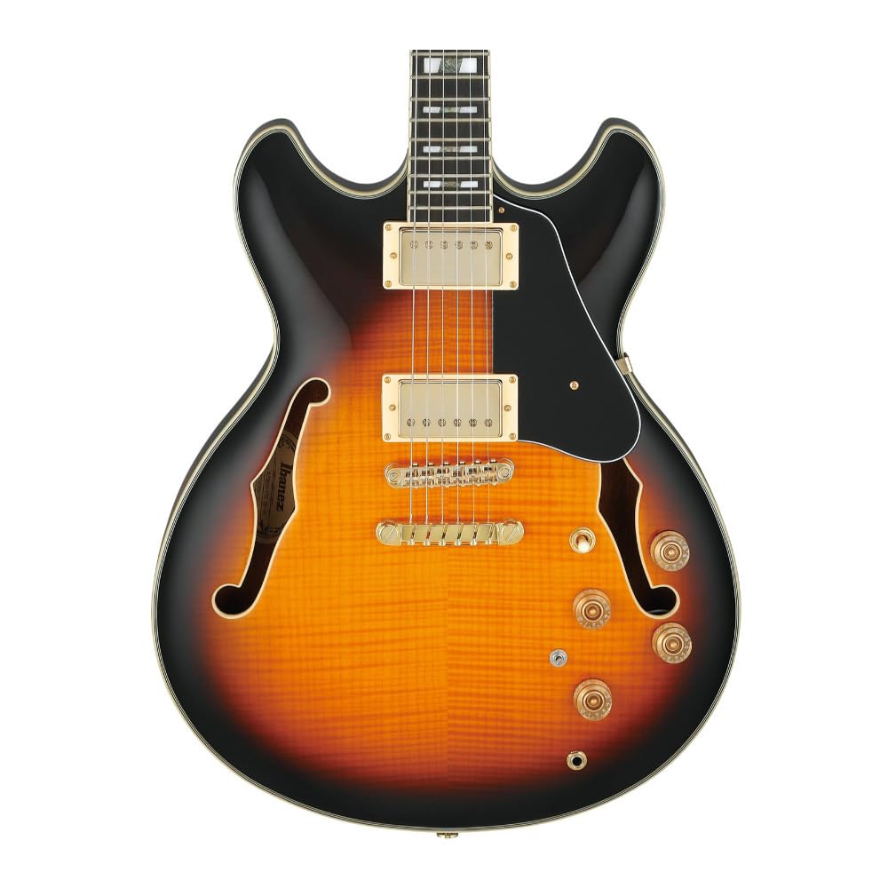 Amazon.com: Ibanez JSM10 John Scofield Signature - Vintage Yellow