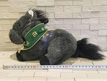 Amazon.co.jp: 第59回 菊花賞 セイウンスカイ 競馬 競走馬 馬