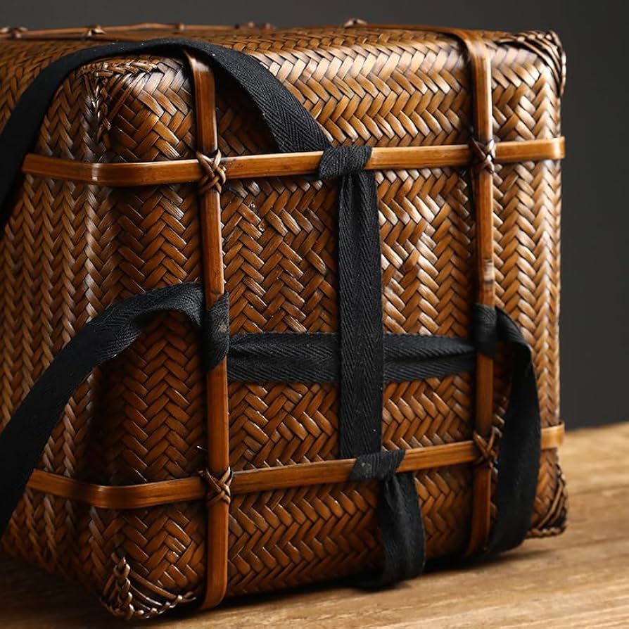 61jgvFC+ViL._AC_UF894,