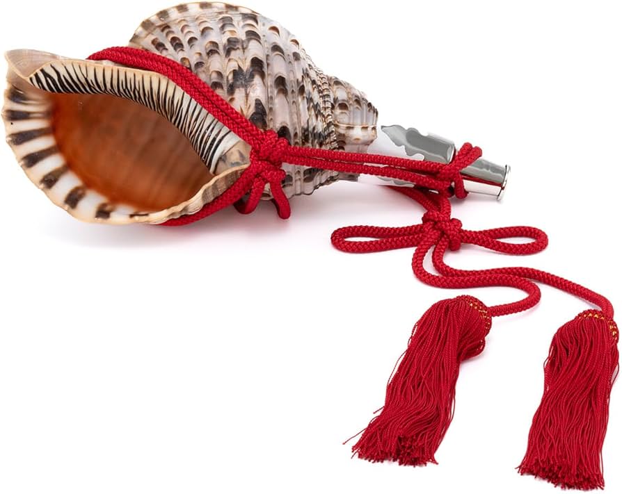 Amazon.co.jp: 伊勢 - 宮忠 - 法螺貝 ほら貝 楽器 笛 歌口付き 真言宗