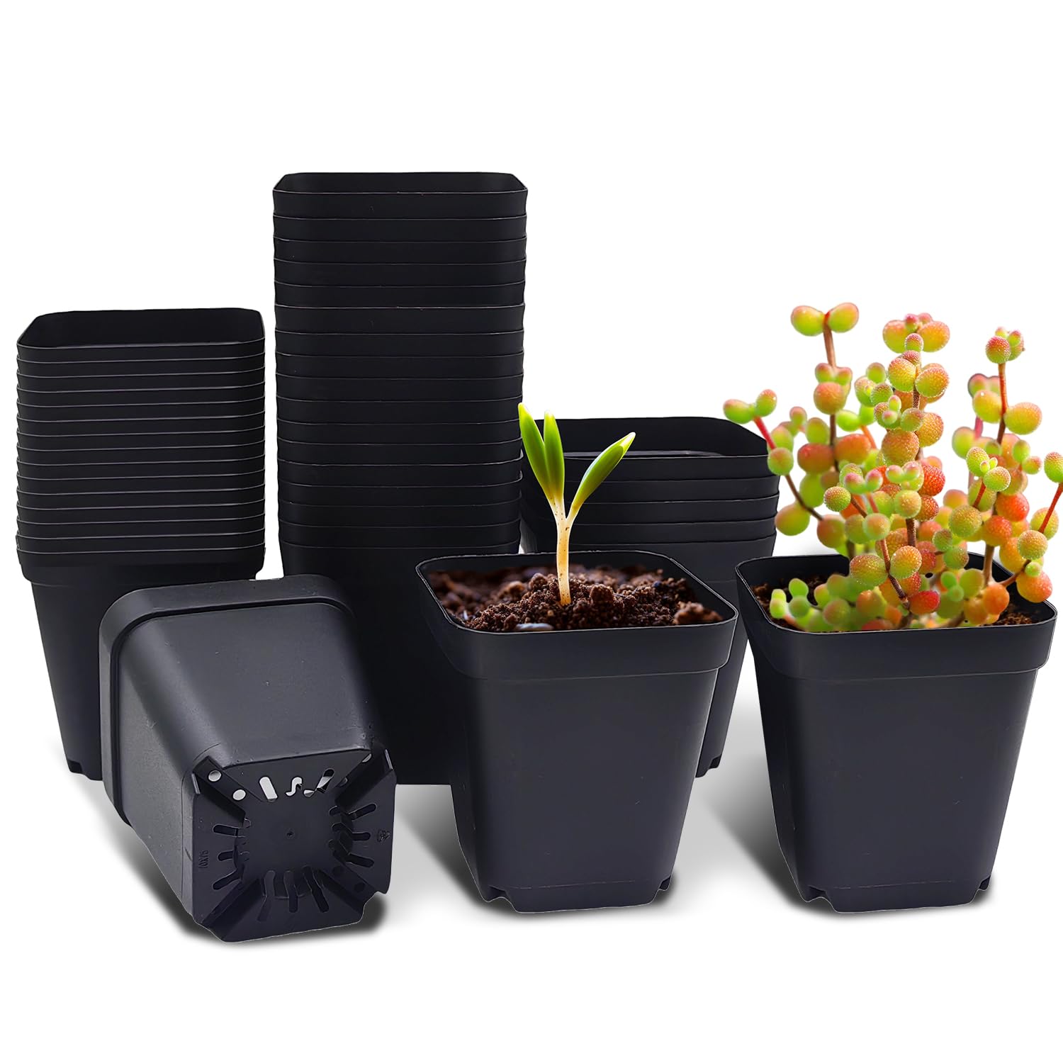 Amazon.co.jp: RooTrimmer 育苗ポット 40個セット 多肉植物用 スリット