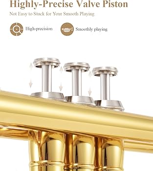 Amazon.com: Eastar Bb Standard Trumpet Set for Beginner, Brass