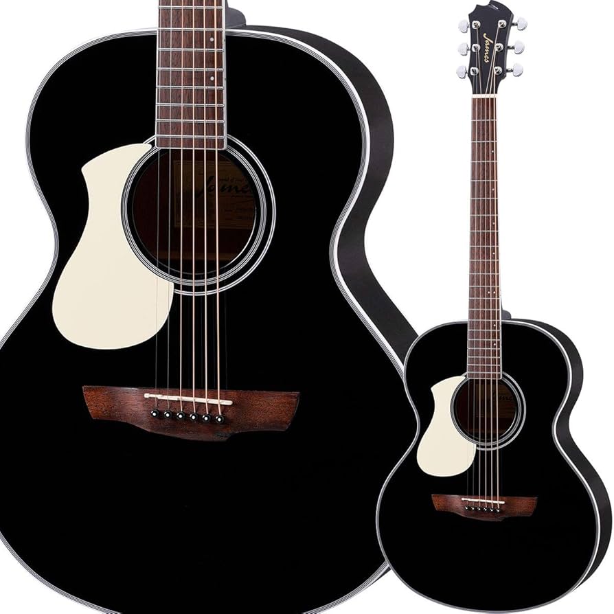 Amazon | James J-300A/LH Black アコースティックギター レフトハンド