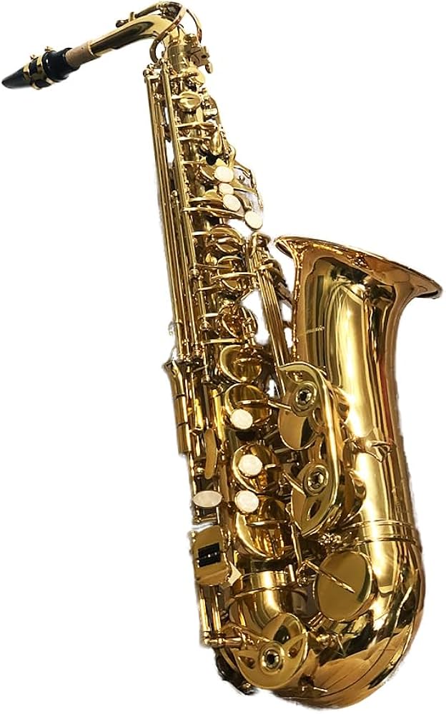 Amazon.co.jp: アルトサックス 初心者入門セット Saxophone サックス