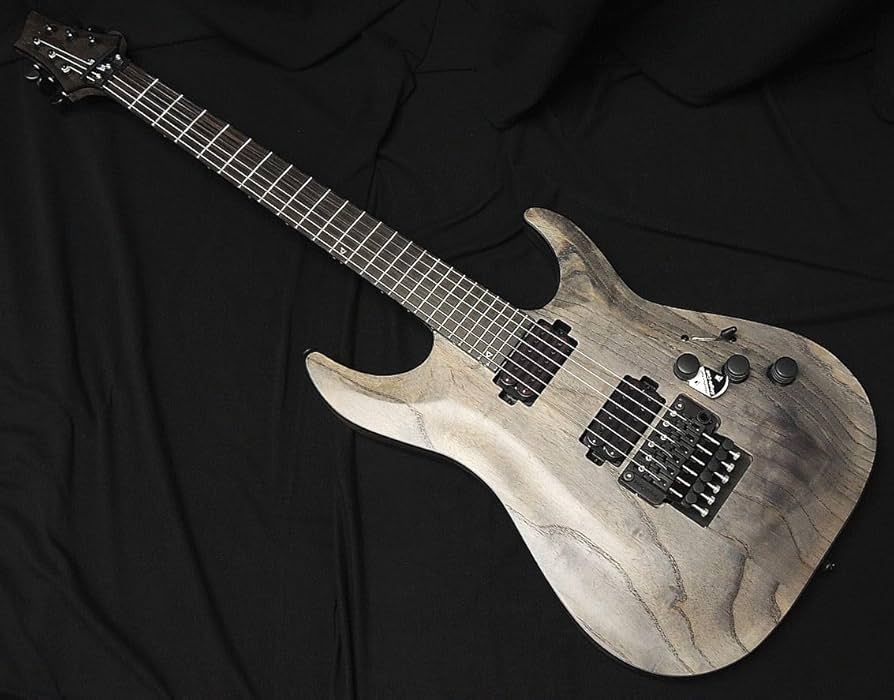 Amazon | Schecter AD-C-1-FR-APOC RG APOCALYPSE Rusty Grey