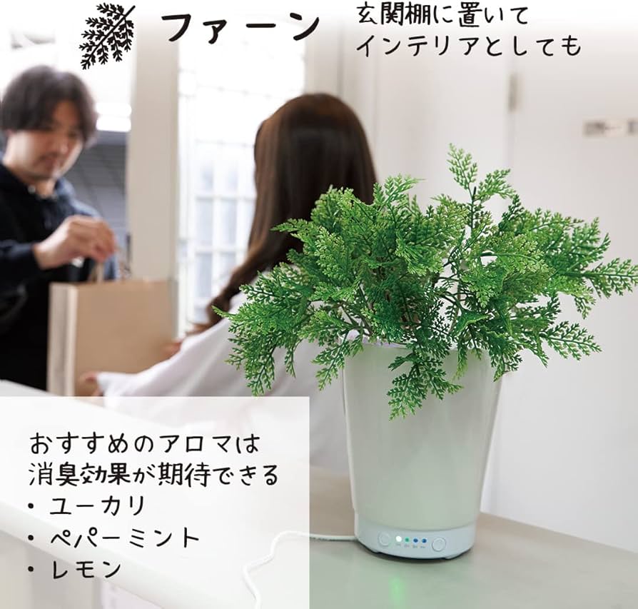 Amazon｜LITHON ライソン グリーンアロマミスト ファーン GREEN AROMA