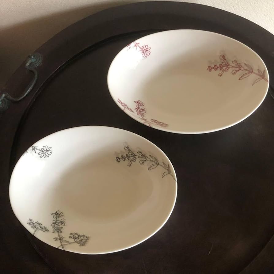 Amazon.co.jp: たち吉 カレー皿 パスタ皿 2枚セット 色違いセット