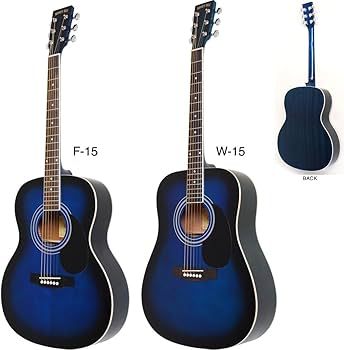 Amazon | HONEY BEE ハニービー アコースティックギター フォーク