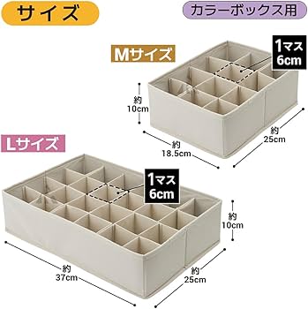 Amazon｜アール 仕切りが動く 収納ボックス (カラーボックス用M 2個