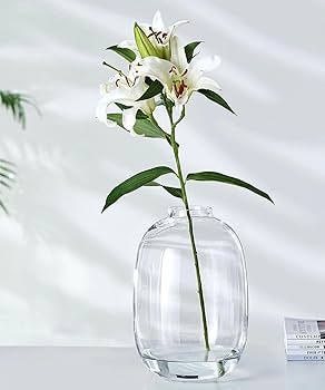 Amazon.co.jp: GeLive ガラス花瓶 センターピース用 クリア花瓶