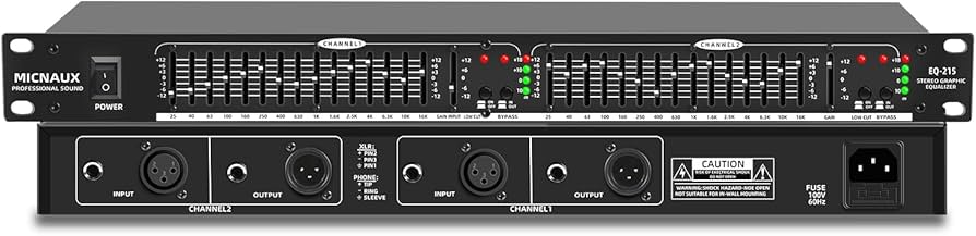 Amazon.com: MICNAUX Stereo Equalizer for Home Audio System, Dual