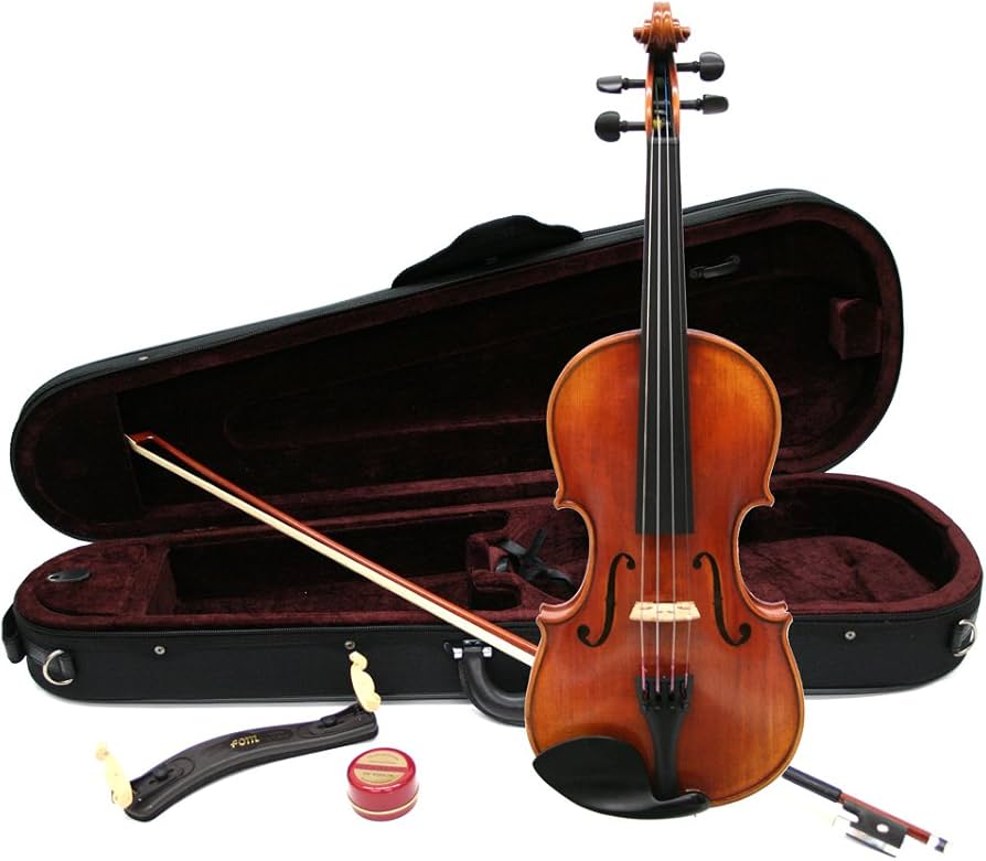 Amazon | Nicolo Santi NSN60S バイオリン 初心者セット マイスター