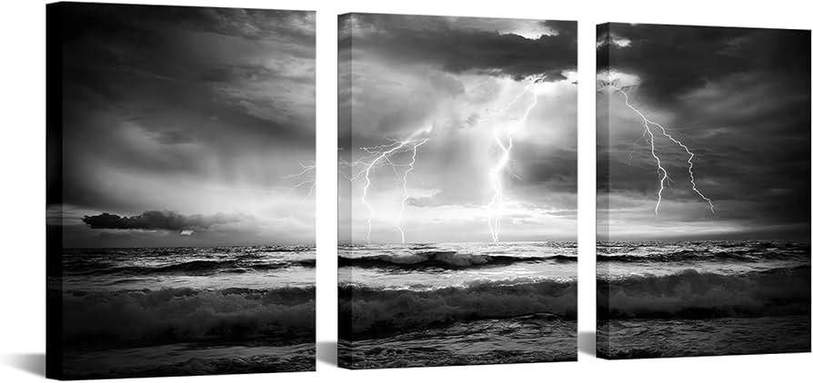 Amazon.co.jp: Artmyharbor 3ピース 嵐の海 キャンバスプリント 黒 白