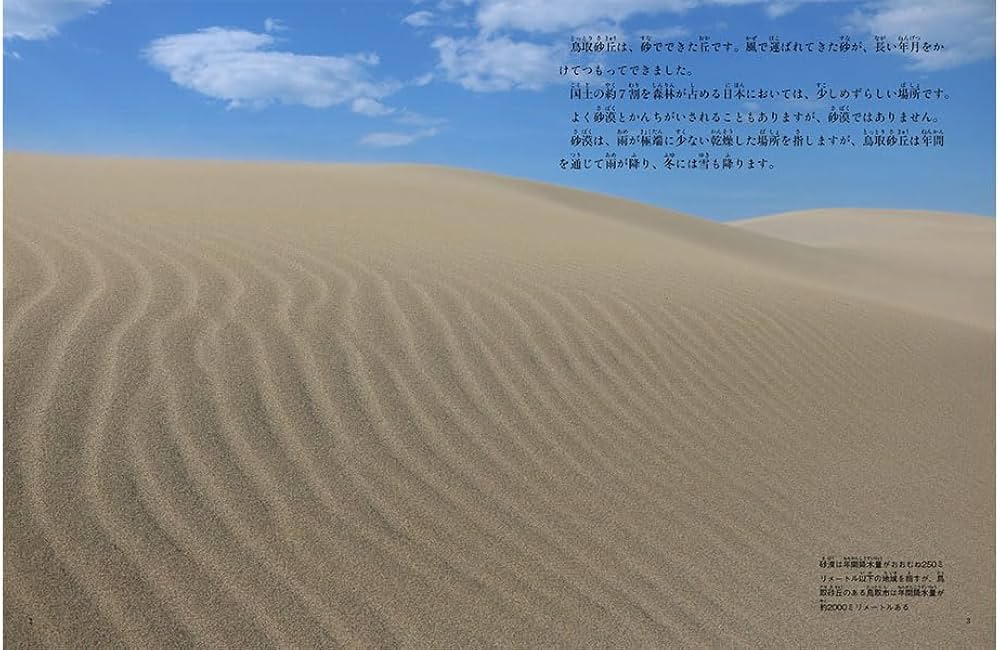 風が描く絵 鳥取砂丘 (たくさんのふしぎ2024年7月号) | 水本 俊也 |本