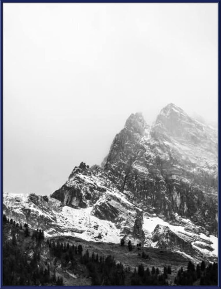 Amazon.co.jp: 29 x 38ポスターフレーム – プロファイル: # 15カスタム