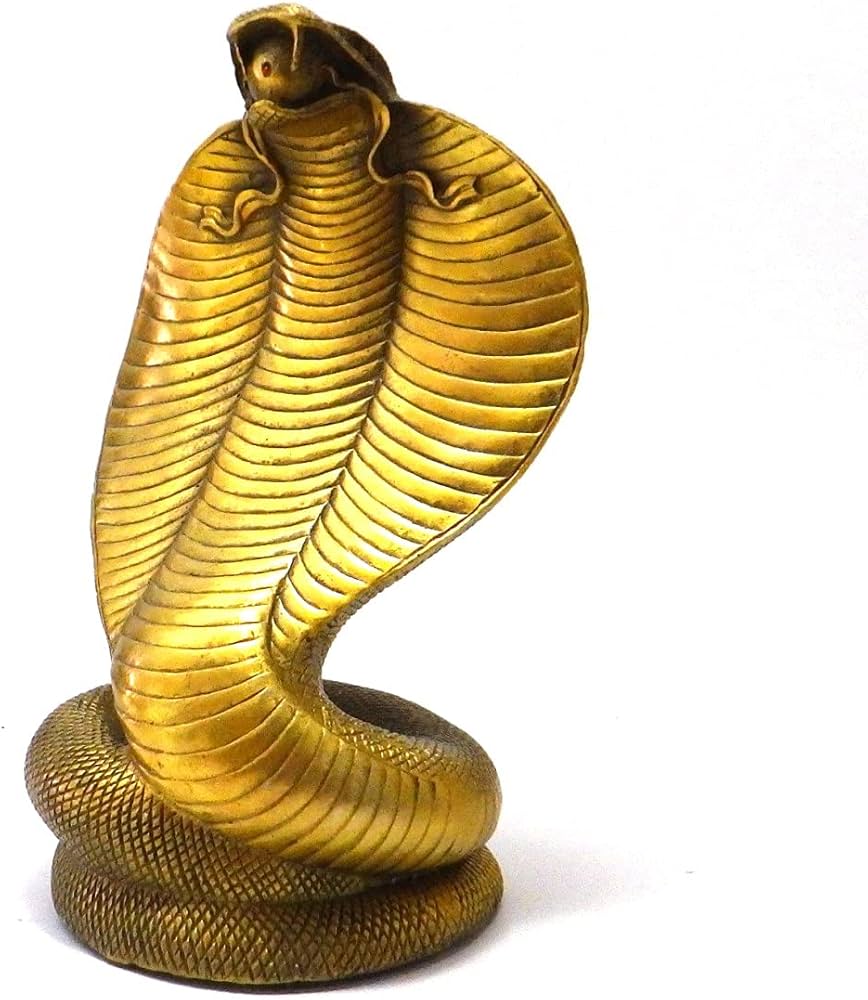 Amazon.co.jp: 銅製 金運のコブラ [風水 開運グッズ 風水グッズ 風水