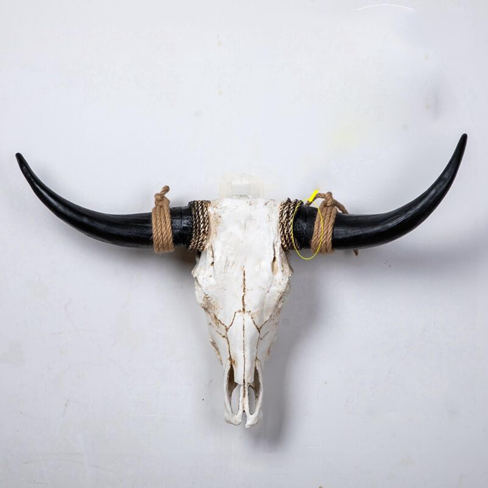 Amazon.co.jp: 長い角の牛の頭蓋骨 - 長い角のある牛の頭蓋骨 壁飾り