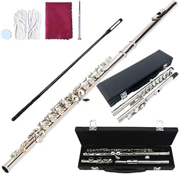 Amazon | Bonarca フルート 初心者 ケース セット 【7点セット】 楽器