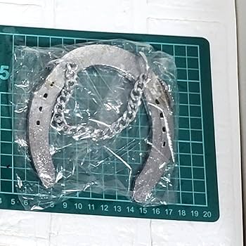 Amazon.co.jp: オグリキャップ 蹄鉄 壁掛け 優駿スタリオン