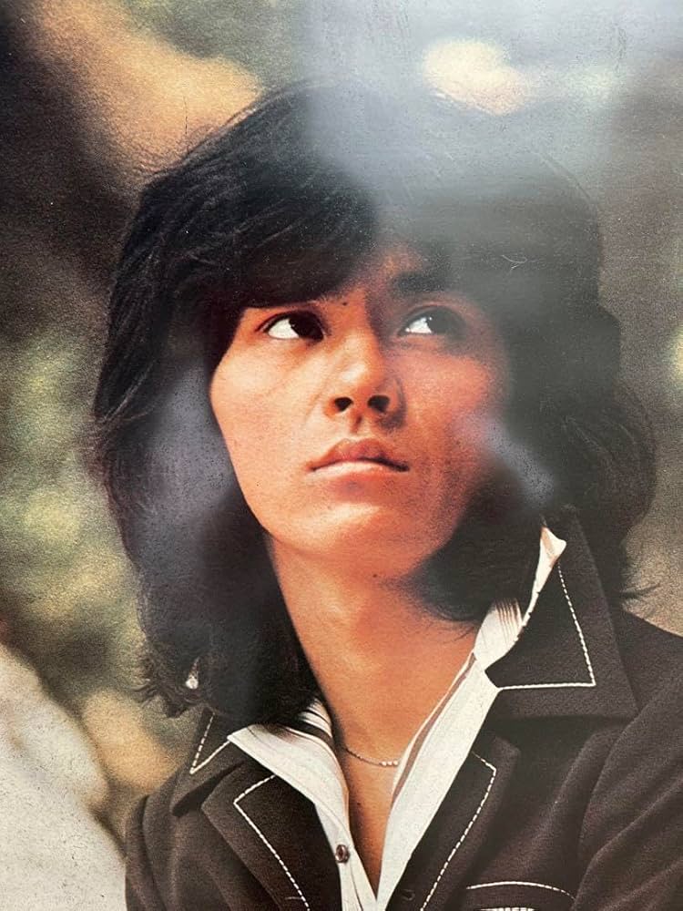 Amazon.co.jp: 西城秀樹 木製パネル ポスター 木枠 : ホビー