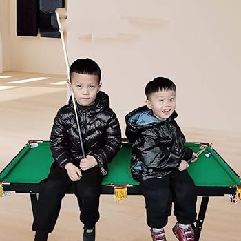 Amazon.co.jp: ビリヤード台、家庭用屋内ミニ折りたたみ式ビリヤード台