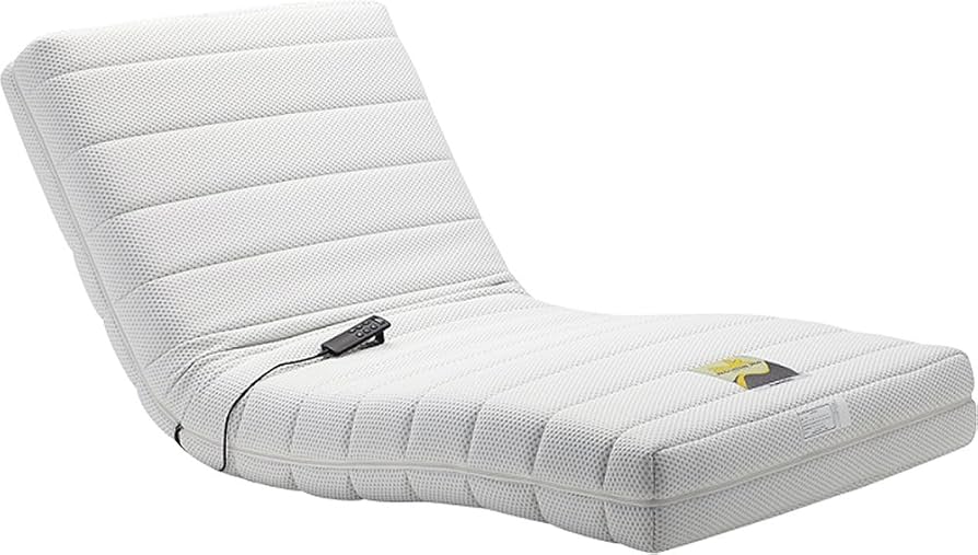 Amazon.co.jp: フランスベッド 電動リクライニングマットレス ルーパー